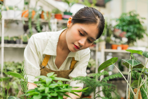 Retrato de mujer asiática trabajando en una tienda de plantas - Foto, imagen