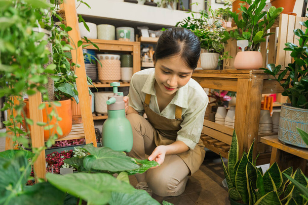 Portrait of Asian woman working in a plant shop - Photo, Image