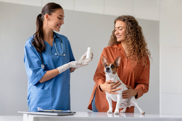 Önlüklü veteriner, kıvırcık saçlı bir evcil hayvan sahibine parlak, modern bir veteriner kliniğinde uyanık bir Jack Russell Terrier tutuyor. - Fotoğraf, Görsel