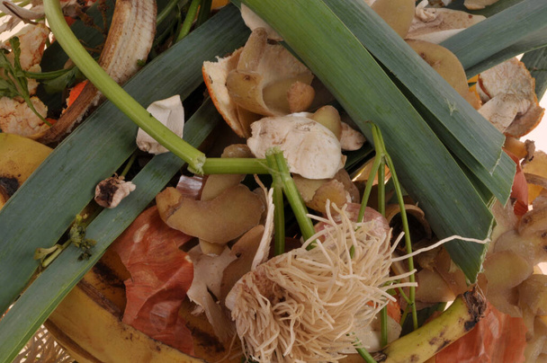 Desperdicio de alimentos ecológicos en primer plano - Foto, imagen