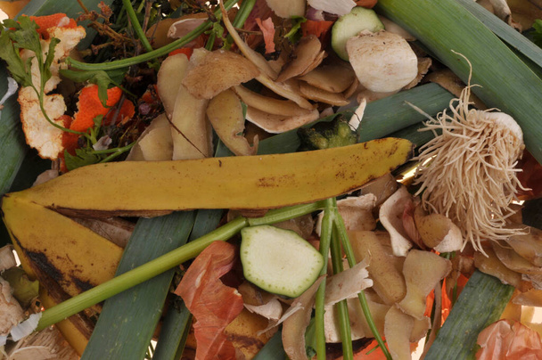 Szerves élelmiszer-hulladék közelkép a háttérről - Fotó, kép