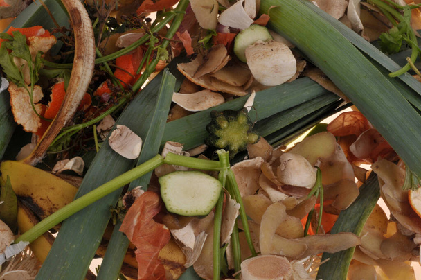 Органічні харчові відходи крупним планом на фоні - Фото, зображення