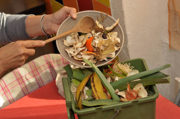 Ktoś opróżnia talerz odpadów organicznych w małym kompostowniku w kuchni. - Zdjęcie, obraz