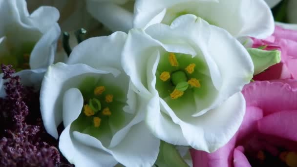 Weiße Eustoma-Blumen und Rosen im Blumenstrauß in Nahaufnahme - Filmmaterial, Video