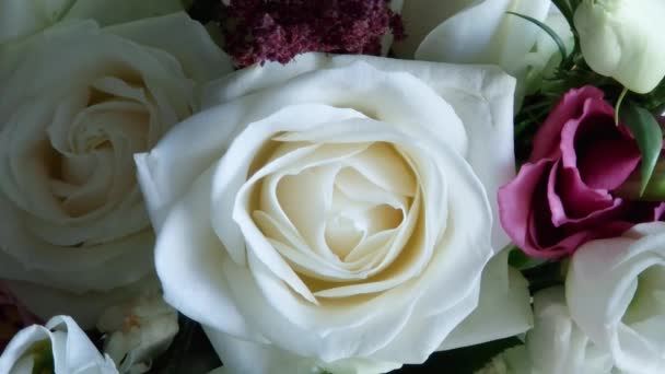 Witte roos in boeket close-up in selectieve focus - Video