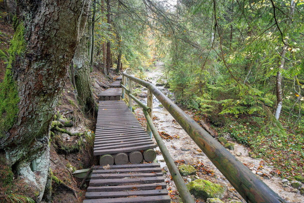 Дерев'яний пішохідний міст через струмок в осінньому лісі. Національний парк Мала Фатра у Словаччині, Європа. - Фото, зображення