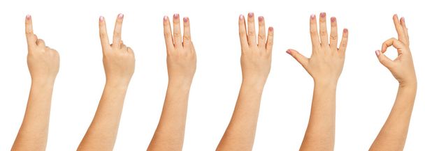 Female hands counting - Photo, Image