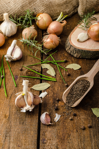 Onions, garlic and herbs bio from the garden - Φωτογραφία, εικόνα