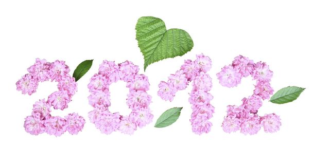 2012 uusi vuosi vaaleanpunaisista ruusuista valkoisella taustalla
 - Valokuva, kuva