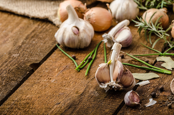 Onions, garlic and herbs bio from the garden - Fotografie, Obrázek