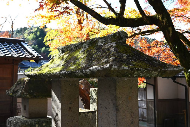 Japonia Podróże. "Shuzenji-temple" Izu City, prefektura Shizuoka. Zbudowana 12 wieków temu świątynia i jej okolice słyną ze spektakularnych jesiennych liści.. - Zdjęcie, obraz