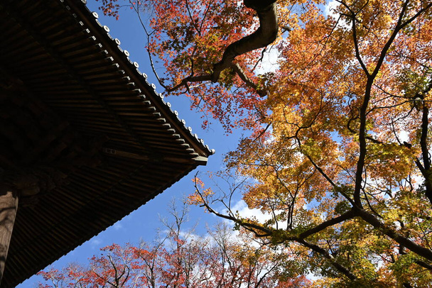 Japan Reizen. Shuzenji-tempel Izu City, prefectuur Shizuoka. Gebouwd 12 eeuwen geleden, deze tempel en de omgeving zijn beroemd om hun spectaculaire herfst gebladerte. - Foto, afbeelding