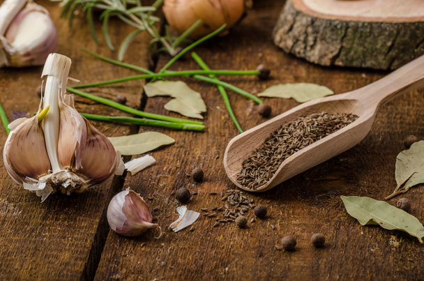 Onions, garlic and herbs bio from the garden - Valokuva, kuva