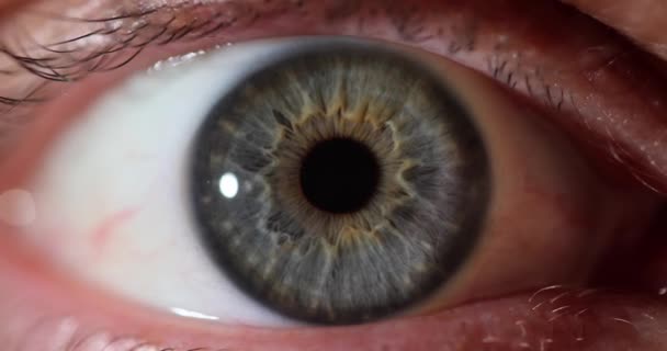 Ludzkie oko z wielobarwną tęczówką na spotkaniu z okulistą w szpitalu. Miesięczne badania kontrolne z profesjonalnym leczeniem problemów z gałką oczną. Część organu zapewniająca widoczność - Materiał filmowy, wideo