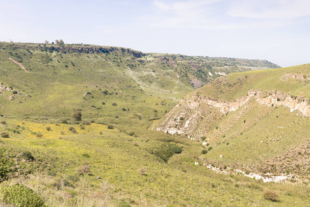 Nachylenie wąwozu porośniętego zielenią w Narodowym Rezerwacie Przyrody El Al położonym w północnej Galilei na północy Izraela - Zdjęcie, obraz