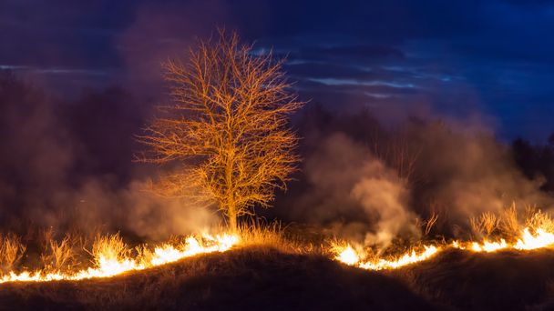 Stepní požár v noci - Fotografie, Obrázek