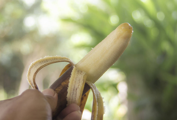 Zgniły banan z trzymaniem ręki na rozmytym tle natury - Zdjęcie, obraz