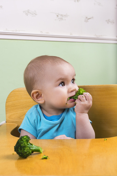 Bebek beslenme brokoli - Fotoğraf, Görsel