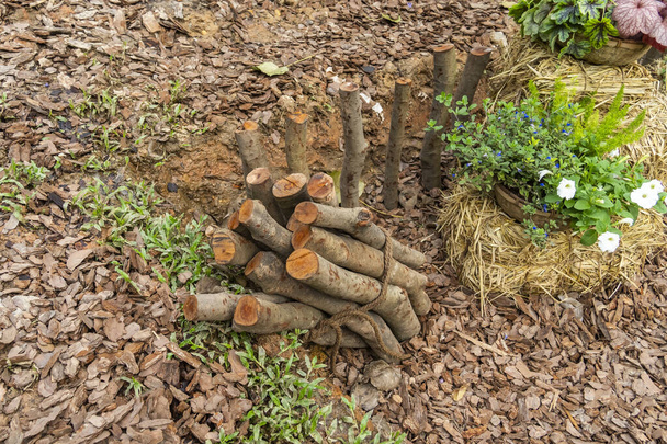 упавшие деревья собираются и транспортируются на переработку в качестве рубленой дровами для камина и печи дома - Фото, изображение