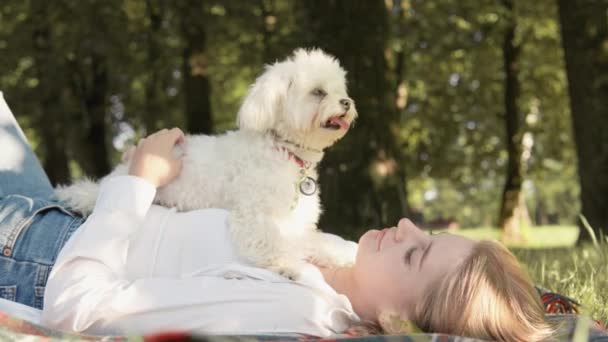 Радость и отдых на свежем воздухе: в парке молодая женщина отдыхает со своей собакой, наслаждается прогулкой, делая этот день незабываемым и веселым. Не разведенные друзья. Верный друг животных. Высококачественные 4k кадры - Кадры, видео