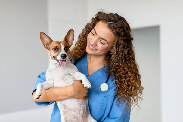 Veterinaria femenina en uniforme azul sonriendo mientras sostiene un pequeño perro blanco y marrón, brindando atención profesional en una clínica de salud animal bien iluminada - Foto, imagen