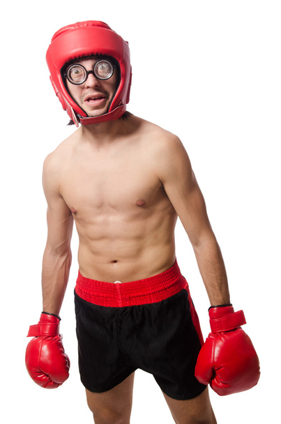 Grappige bokser met rode handschoenen - Foto, afbeelding