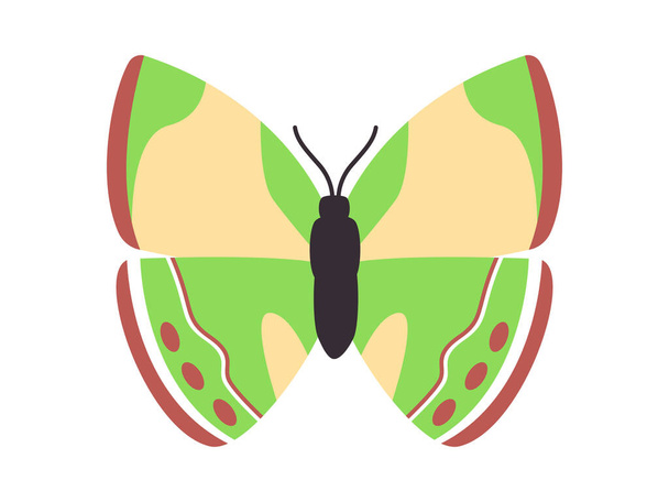vert et brun couleur papillon nature sauvage insecte animal mignon beau vecteur d'aile multicolore - Vecteur, image