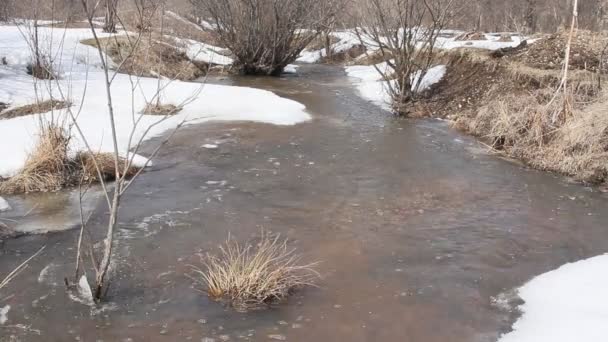 Lente smelten van sneeuw op de rivier, In April. - Video