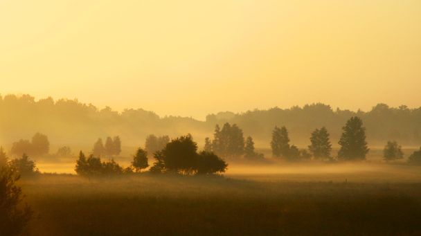 霧の土地に沈む夕日 - 写真・画像