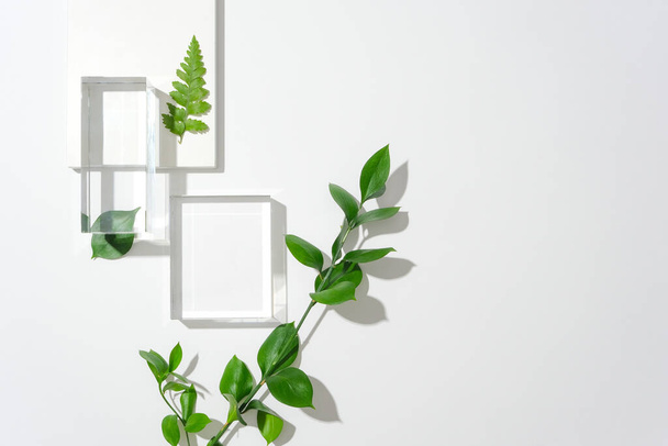 Two glass platforms, a white podium, fern leaves and green leaves decorate the left side of the white background. Design text with empty space. Commercial images. - Photo, Image