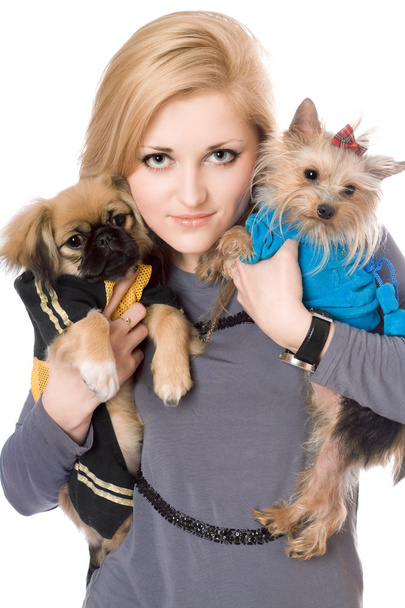 Портрет прекрасной блондинки с двумя собаками
 - Фото, изображение