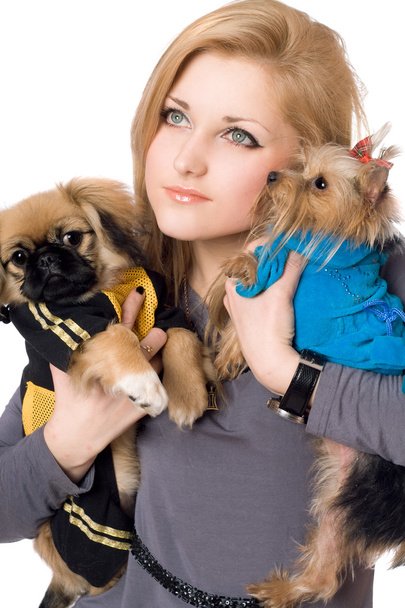 Портрет симпатичной молодой блондинки с двумя собаками. Isolated
 - Фото, изображение