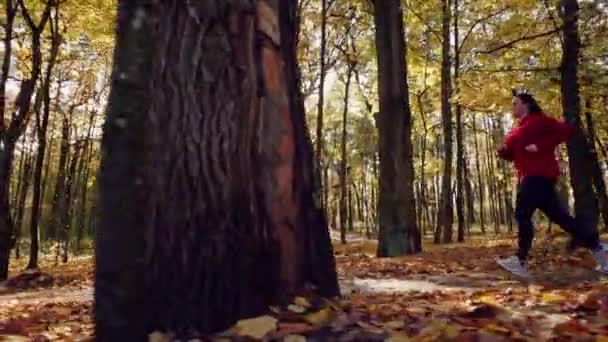 Bir kadın sonbaharda ormanda kilo vermek için koşar. Antrenman ve spor, doğada aktif bir yaşam tarzı. Yüksek kalite 4k görüntü - Video, Çekim