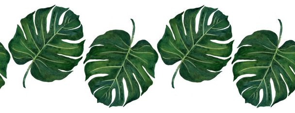 Handgetekende aquarel tropische planten set exotische bladeren aquarel illustratie op wit - Foto, afbeelding