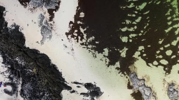 Vista aérea de las piscinas de marea natural de la Playa de los Charcos - Piscinas naturales de la Playa de Los Laguitos o Los Charcos en Fuerteventura, Islas Canarias, España. 24.09.2023 - Metraje, vídeo