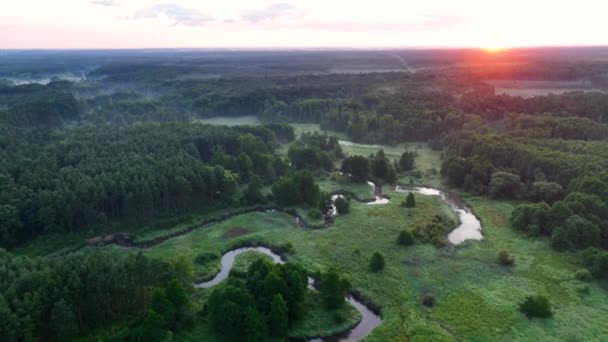 Schöner Frühlingsmorgen über Wald und Fluss - Drohnen-Luftaufnahme - Filmmaterial, Video