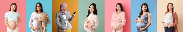 Set of many pregnant women on color background - Photo, Image