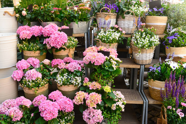 ストリートマーケットで美しい花のバスケット - 写真・画像
