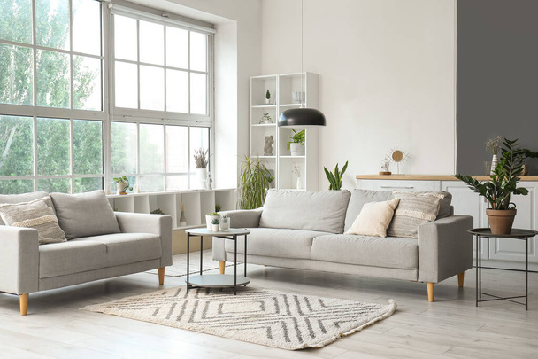 Interno di luminoso soggiorno con accoglienti divani grigi, tavolino e grande finestra - Foto, immagini