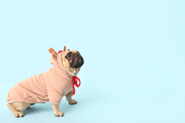 Cute pies mops w stroju Bożego Narodzenia na niebieskim tle - Zdjęcie, obraz