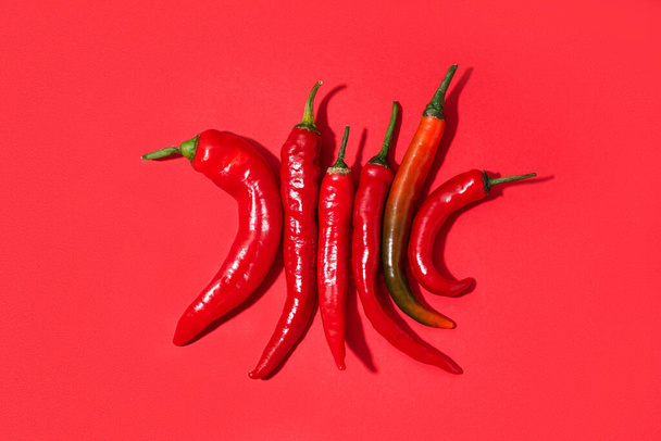 Φρέσκες πιπεριές τσίλι σε κόκκινο φόντο - Φωτογραφία, εικόνα