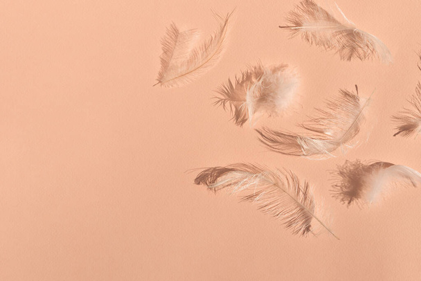 Messy white feathers on peach texture background with natural sun light shadows. Peach fuzz , trendy color of 2024 year concept, lifestyle, copy space. - Photo, Image