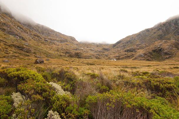 Hazy landscape with native alpine vegetation and grassland along the Routeburn Track South Island New Zealand - Photo, Image