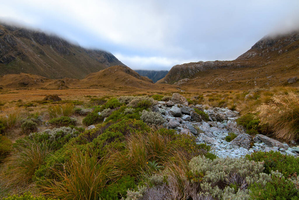 Paisaje brumoso con vegetación alpina nativa y pastizales, Ruteburn Track, Alpes del Sur en la Isla Sur Nueva Zelanda - Foto, imagen