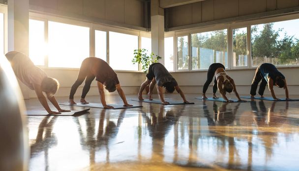 Klasa jogi w pozycji dla psów w dół, sala gimnastyczna z oświetleniem słonecznym z odblaskową podłogą - Zdjęcie, obraz