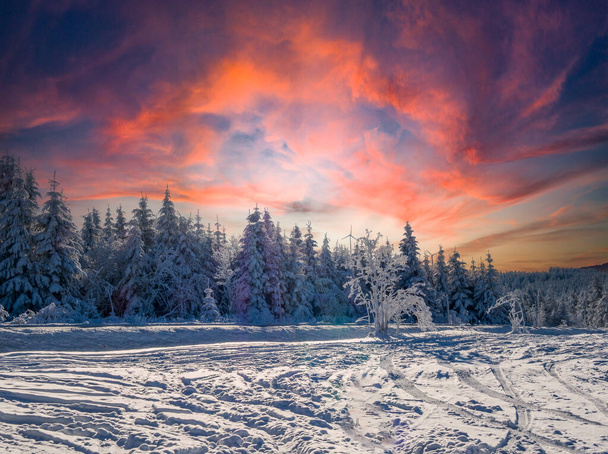 Fantástico dia de inverno no Erzgebirge com neve e pôr do sol - Foto, Imagem