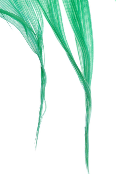Green feather abstract texture background - Φωτογραφία, εικόνα