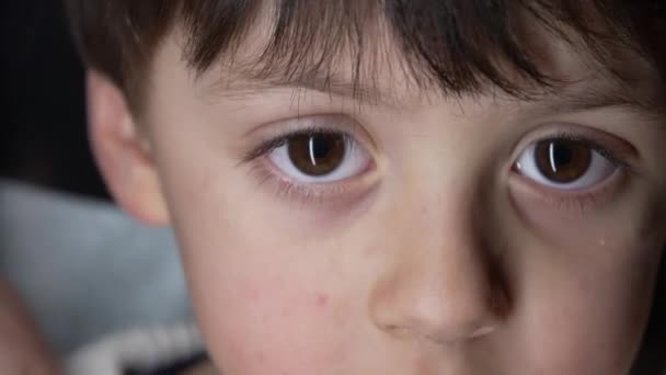 Close up of child's eyes staring at camera captured with macro lens. Young boy eye sight - Footage, Video