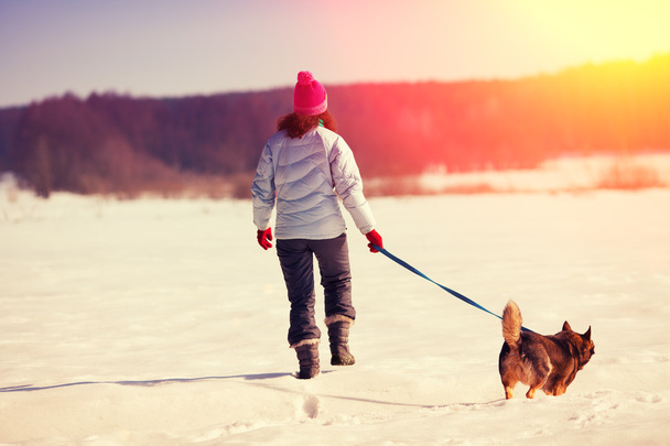 Young woman with dog walking on the snowy field - Foto, Bild