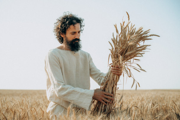 Призыв рабочих: Иисус среди пшеницы - Фото, изображение